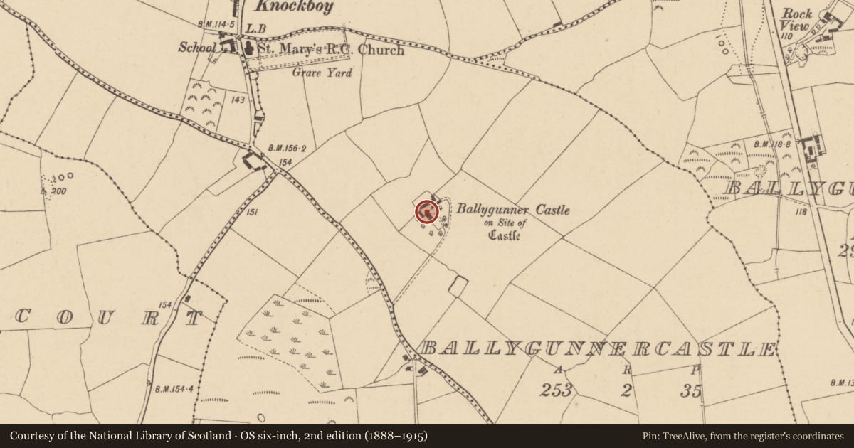 Ordnance Survey six-inch map, 2nd edition (1888–1915) covering the location of House - 16th/17th century, Ballygunnercastle, County Waterford, with a pin at the register's coordinates