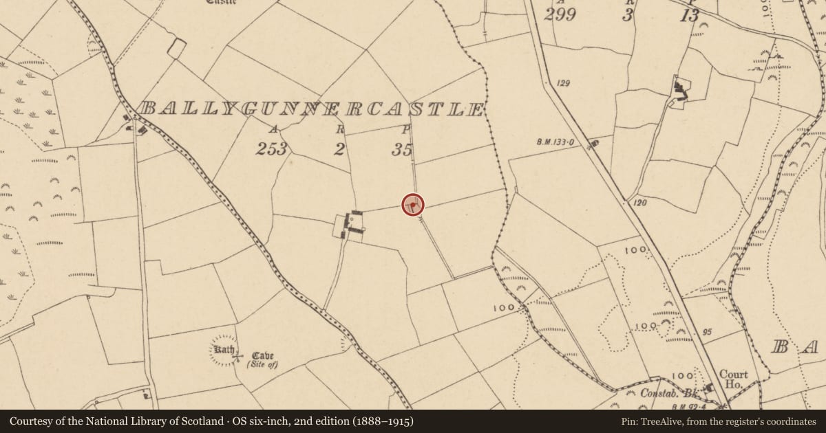 Ordnance Survey six-inch map, 2nd edition (1888–1915) covering the location of Enclosure, Ballygunnercastle, County Waterford, with a pin at the register's coordinates