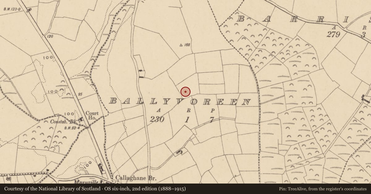 Ordnance Survey six-inch map, 2nd edition (1888–1915) covering the location of Ringfort - unclassified, Ballyvoreen, County Waterford, with a pin at the register's coordinates
