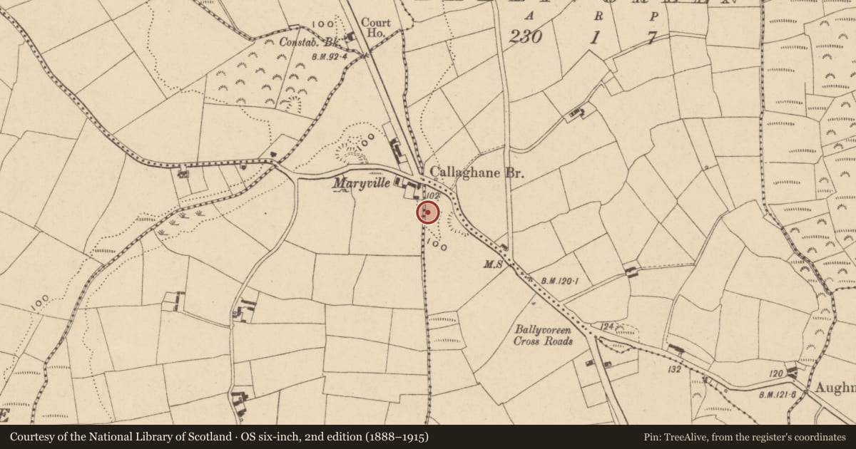 Ordnance Survey six-inch map, 2nd edition (1888–1915) covering the location of Fulacht fia, Ballinkina, County Waterford, with a pin at the register's coordinates