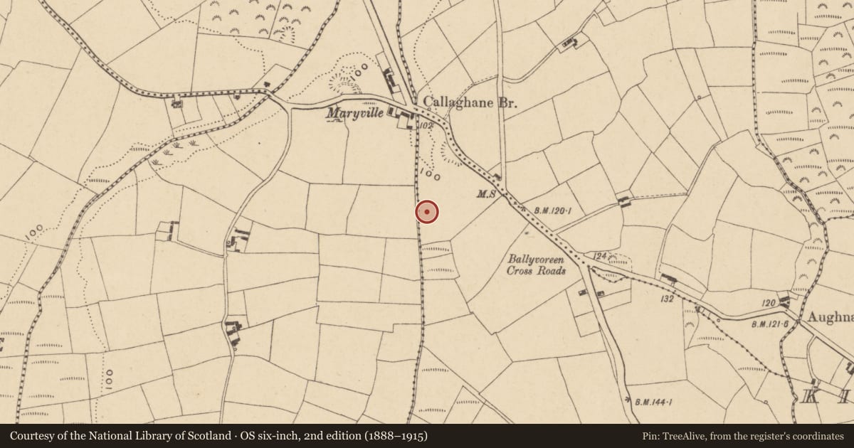 Ordnance Survey six-inch map, 2nd edition (1888–1915) covering the location of Fulacht fia, Ballinkina, County Waterford, with a pin at the register's coordinates