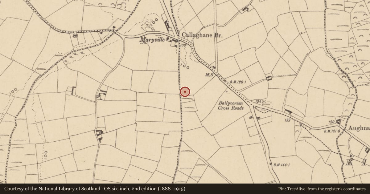 Ordnance Survey six-inch map, 2nd edition (1888–1915) covering the location of Fulacht fia, Ballinkina, County Waterford, with a pin at the register's coordinates