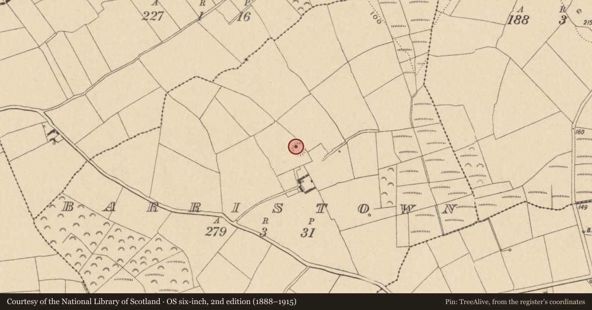 Ordnance Survey six-inch map, 2nd edition (1888–1915) covering the location of Ringfort - unclassified, Barristown, County Waterford, with a pin at the register's coordinates