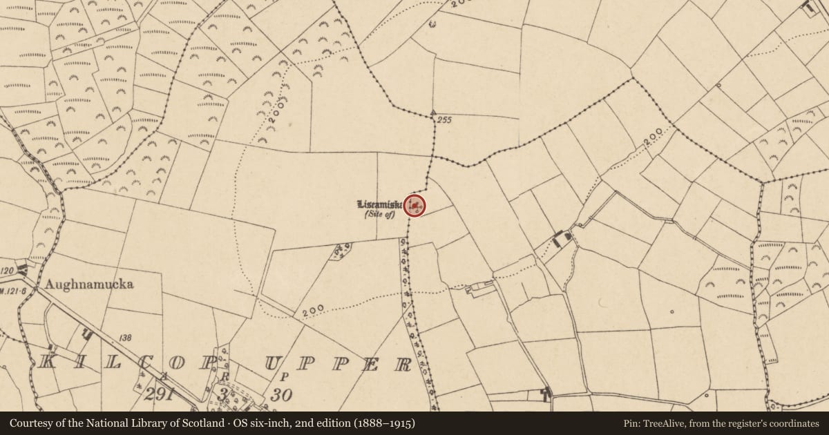 Ordnance Survey six-inch map, 2nd edition (1888–1915) covering the location of Ringfort - unclassified, Ballydavid, County Waterford, with a pin at the register's coordinates