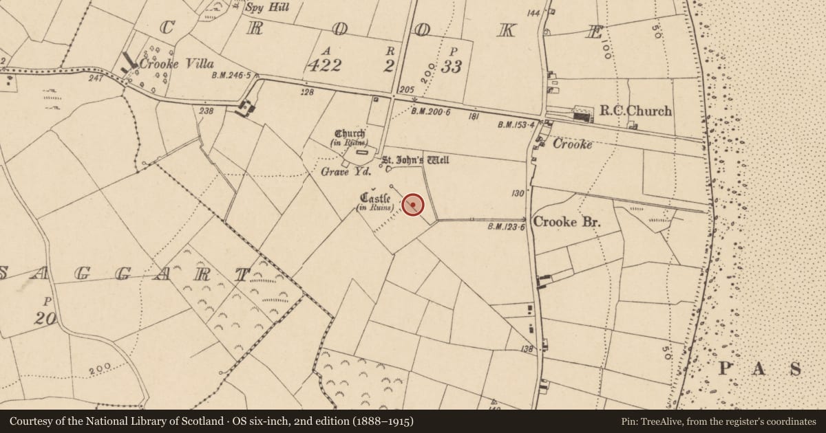 Ordnance Survey six-inch map, 2nd edition (1888–1915) covering the location of Field system, Crooke, County Waterford, with a pin at the register's coordinates