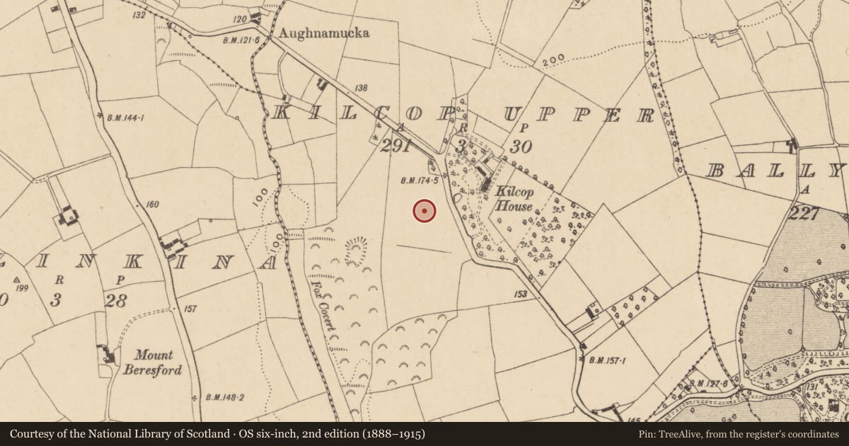 Ordnance Survey six-inch map, 2nd edition (1888–1915) covering the location of Graveyard, Kilcop Upper, County Waterford, with a pin at the register's coordinates