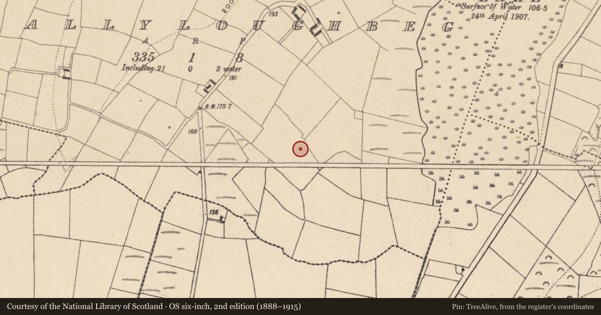 Ordnance Survey six-inch map, 2nd edition (1888–1915) covering the location of Enclosure, Ballyloughbeg, County Waterford, with a pin at the register's coordinates