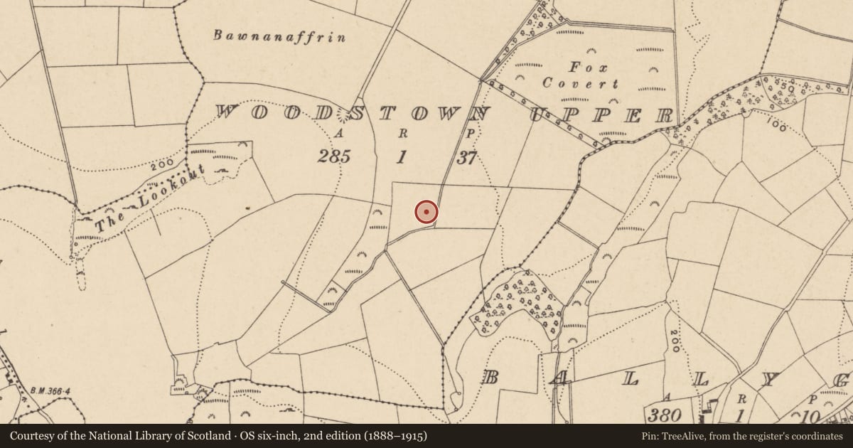 Ordnance Survey six-inch map, 2nd edition (1888–1915) covering the location of Enclosure, Woodstown Upper, County Waterford, with a pin at the register's coordinates