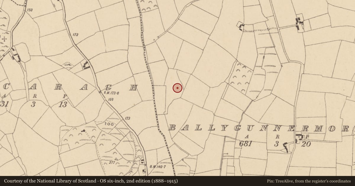 Ordnance Survey six-inch map, 2nd edition (1888–1915) covering the location of Church, Ballygunnermore, County Waterford, with a pin at the register's coordinates