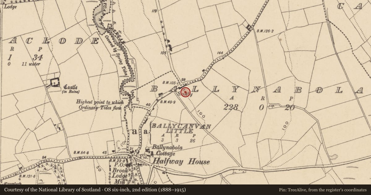 Ordnance Survey six-inch map, 2nd edition (1888–1915) covering the location of Burnt mound, Ballynabola, County Waterford, with a pin at the register's coordinates