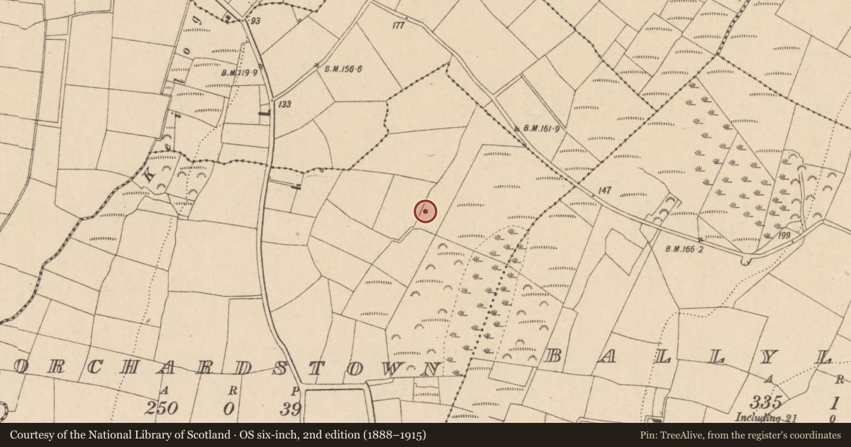 Ordnance Survey six-inch map, 2nd edition (1888–1915) covering the location of Burnt mound, Orchardstown, County Waterford, with a pin at the register's coordinates