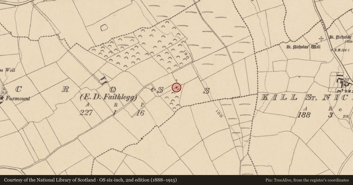 Ordnance Survey six-inch map, 2nd edition (1888–1915) covering the location of Burnt mound, Cross (Gaultiere By., Kill St. Nicholas Par.), County Waterford, with a pin at the register's coordinates