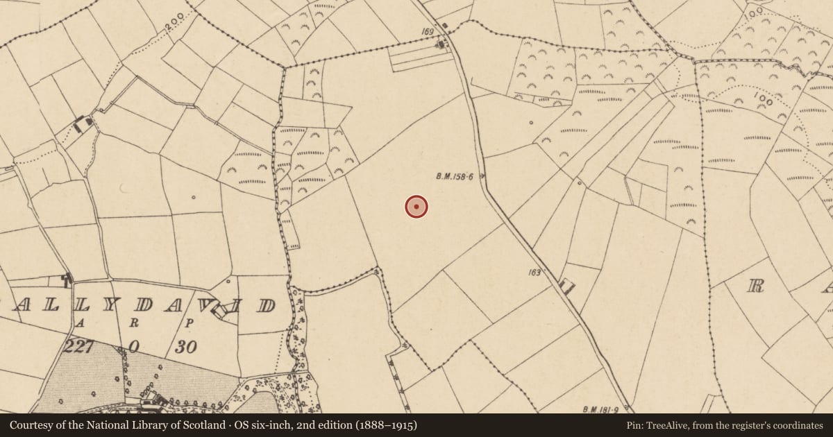 Ordnance Survey six-inch map, 2nd edition (1888–1915) covering the location of Enclosure, Dromina, County Waterford, with a pin at the register's coordinates