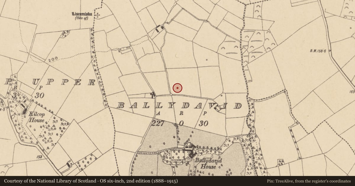 Ordnance Survey six-inch map, 2nd edition (1888–1915) covering the location of Enclosure, Ballydavid, County Waterford, with a pin at the register's coordinates