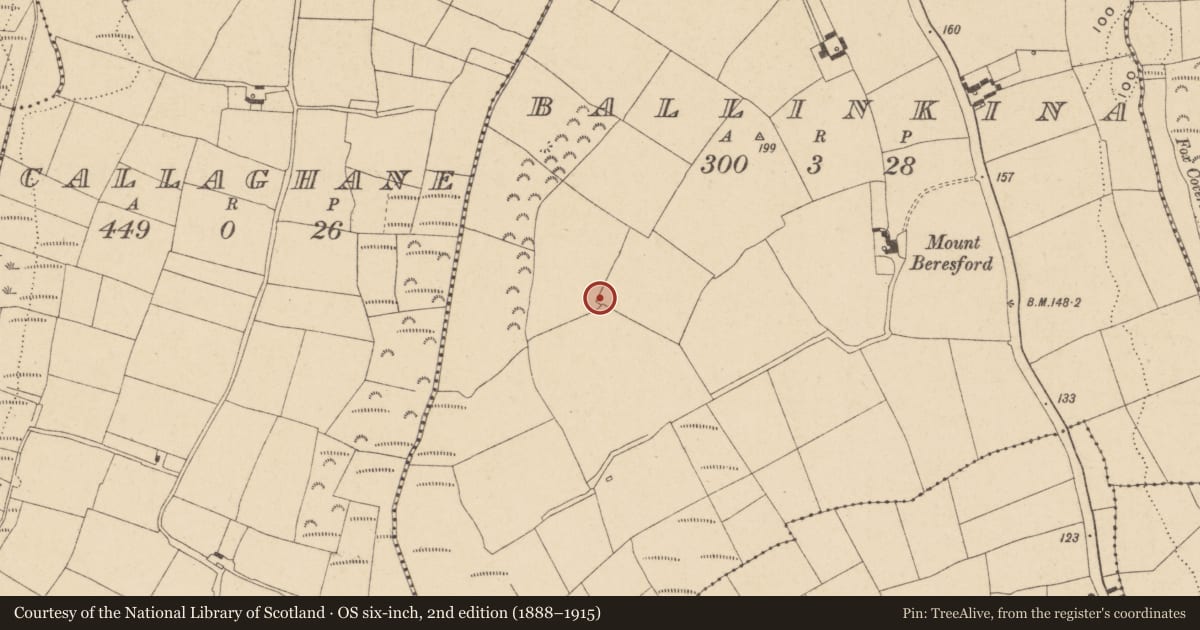 Ordnance Survey six-inch map, 2nd edition (1888–1915) covering the location of Enclosure, Ballinkina, County Waterford, with a pin at the register's coordinates