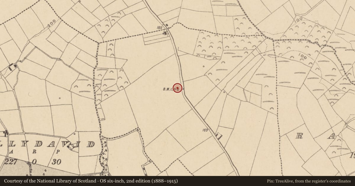 Ordnance Survey six-inch map, 2nd edition (1888–1915) covering the location of Enclosure, Dromina, County Waterford, with a pin at the register's coordinates