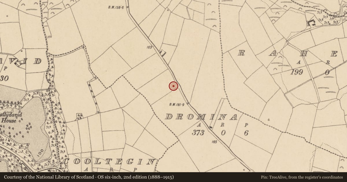 Ordnance Survey six-inch map, 2nd edition (1888–1915) covering the location of Enclosure, Dromina, County Waterford, with a pin at the register's coordinates