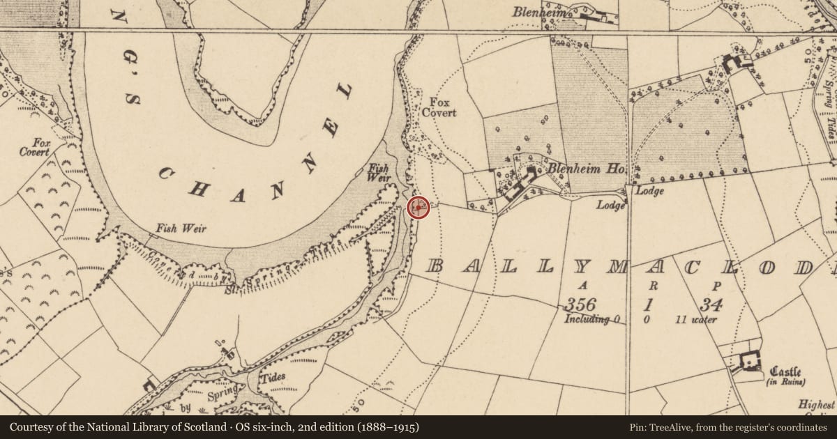 Ordnance Survey six-inch map, 2nd edition (1888–1915) covering the location of Fulacht fia, Ballymaclode, County Waterford, with a pin at the register's coordinates