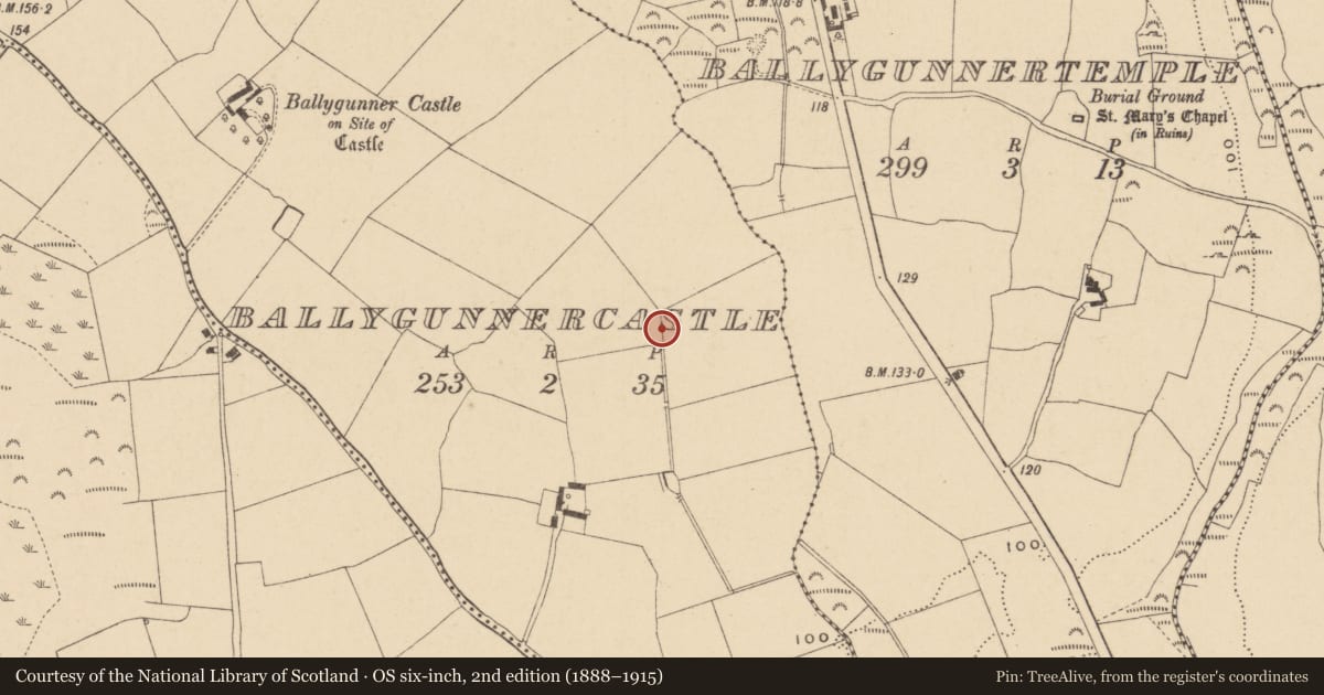 Ordnance Survey six-inch map, 2nd edition (1888–1915) covering the location of Enclosure, Ballygunnercastle, County Waterford, with a pin at the register's coordinates