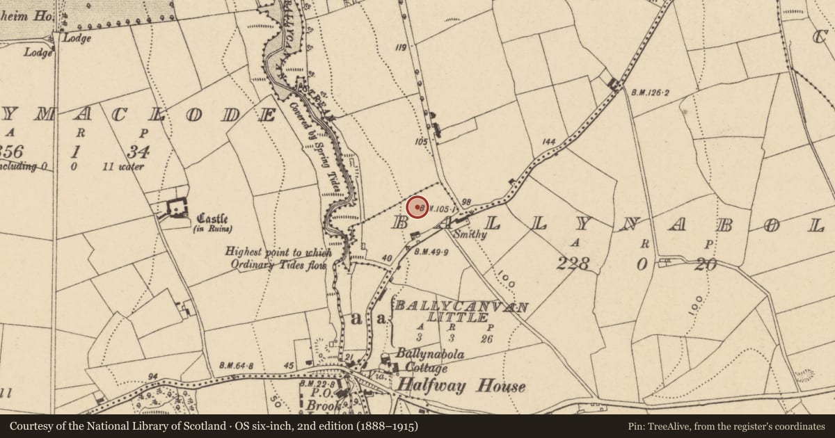 Ordnance Survey six-inch map, 2nd edition (1888–1915) covering the location of Standing stone, Ballynabola, County Waterford, with a pin at the register's coordinates