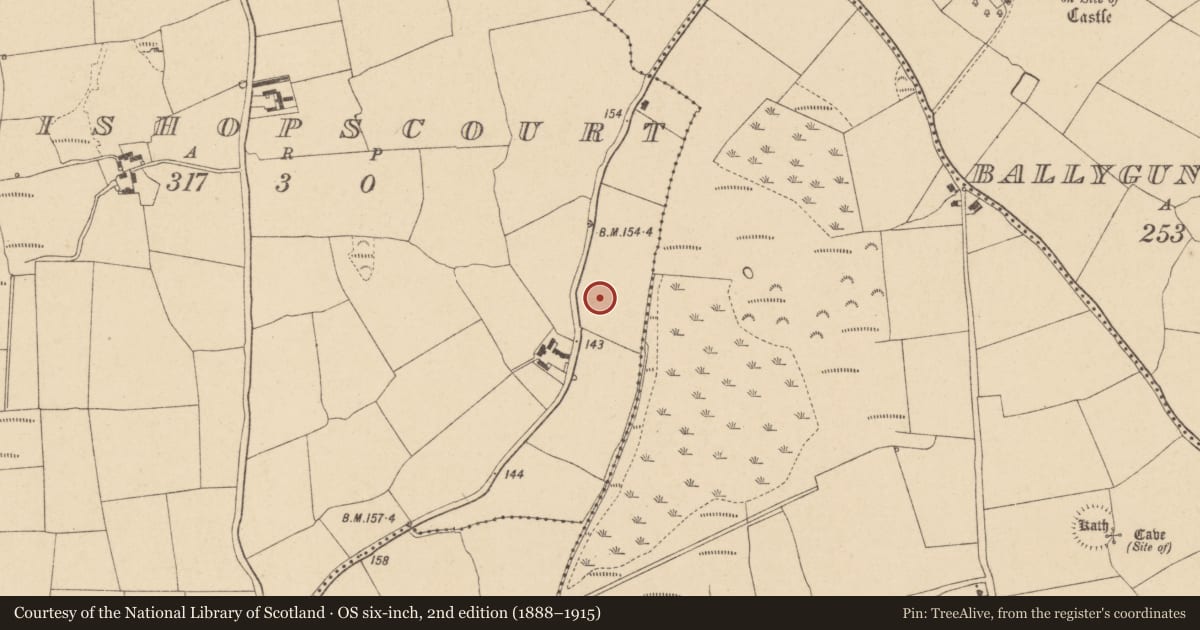 Ordnance Survey six-inch map, 2nd edition (1888–1915) covering the location of Fulacht fia, Bishopscourt, County Waterford, with a pin at the register's coordinates