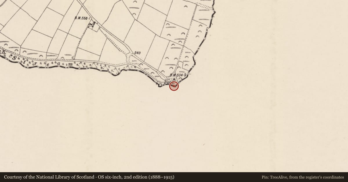 Ordnance Survey six-inch map, 2nd edition (1888–1915) covering the location of Ritual site - holy well, Tobernahulla, County Waterford, with a pin at the register's coordinates