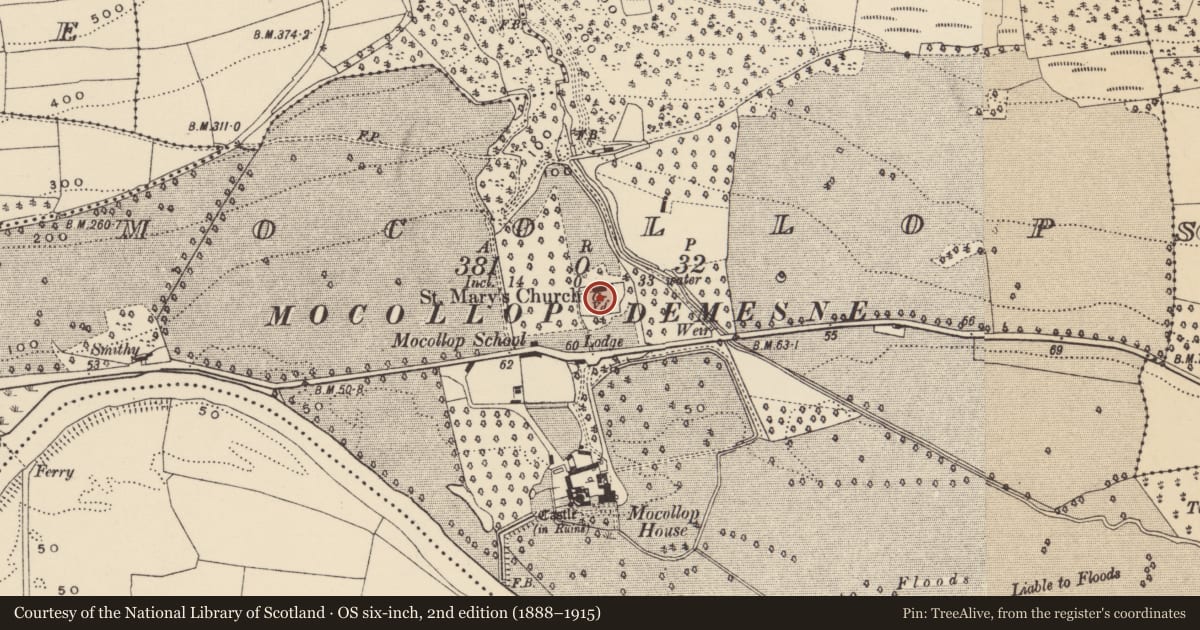 Ordnance Survey six-inch map, 2nd edition (1888–1915) covering the location of Graveyard, Mocollop, County Waterford, with a pin at the register's coordinates