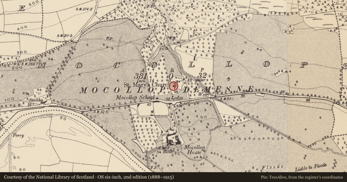 Ordnance Survey six-inch map, 2nd edition (1888–1915) covering the location of Headstone, Mocollop, County Waterford, with a pin at the register's coordinates