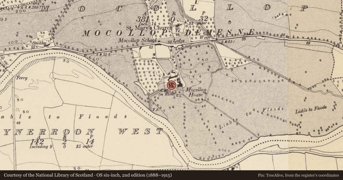 Ordnance Survey six-inch map, 2nd edition (1888–1915) covering the location of Castle - Anglo-Norman masonry castle, Mocollop, County Waterford, with a pin at the register's coordinates