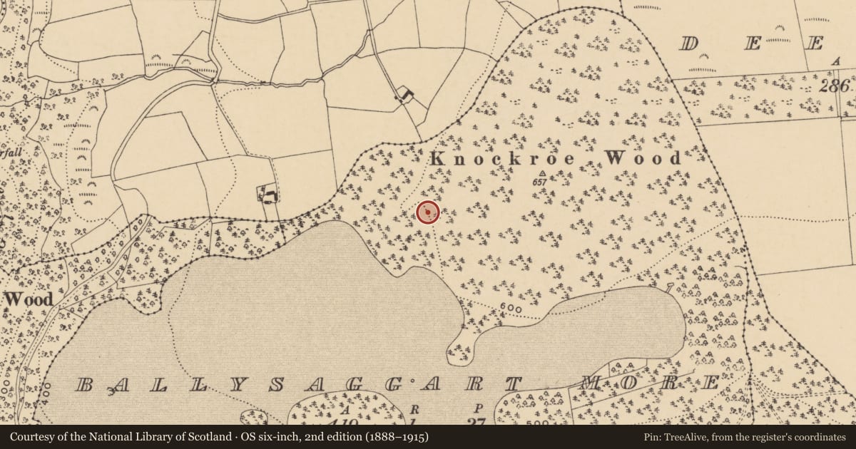 Ordnance Survey six-inch map, 2nd edition (1888–1915) covering the location of Standing stone, Ballysaggartmore, County Waterford, with a pin at the register's coordinates