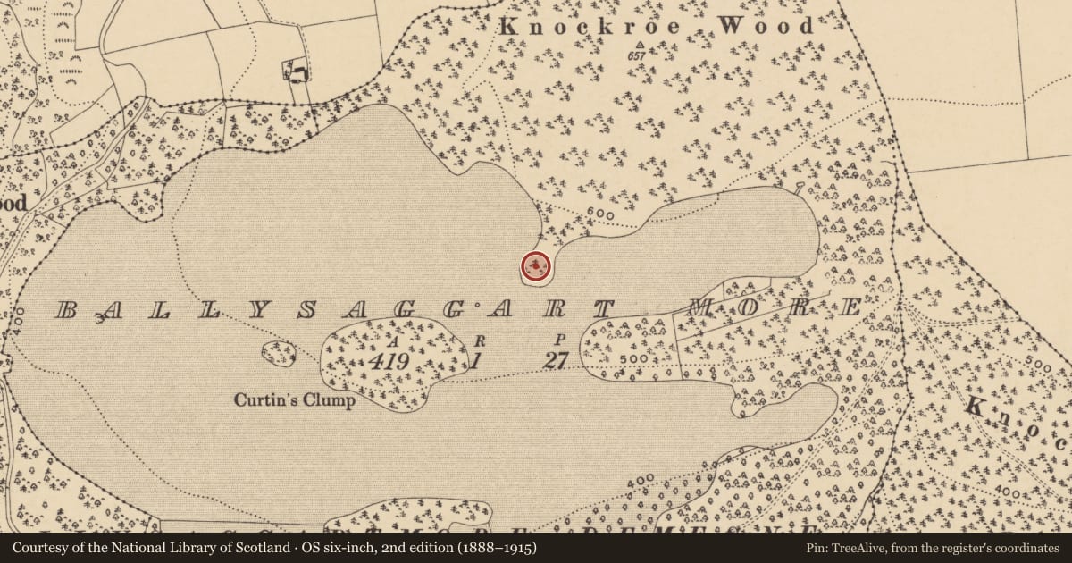Ordnance Survey six-inch map, 2nd edition (1888–1915) covering the location of Enclosure, Ballysaggartmore, County Waterford, with a pin at the register's coordinates