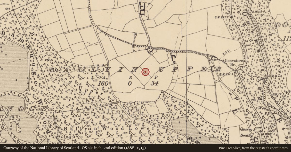 Ordnance Survey six-inch map, 2nd edition (1888–1915) covering the location of Enclosure, Ballyin Upper, County Waterford, with a pin at the register's coordinates