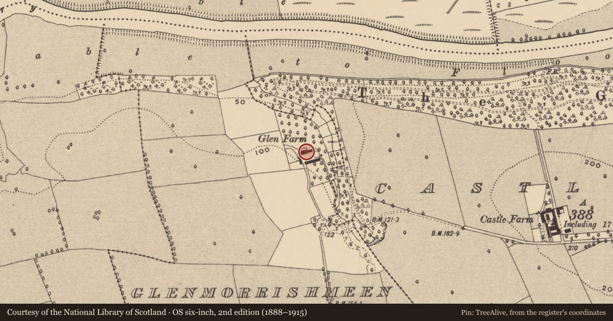 Ordnance Survey six-inch map, 2nd edition (1888–1915) covering the location of Castle - unclassified, Glenmorrishmeen, County Waterford, with a pin at the register's coordinates