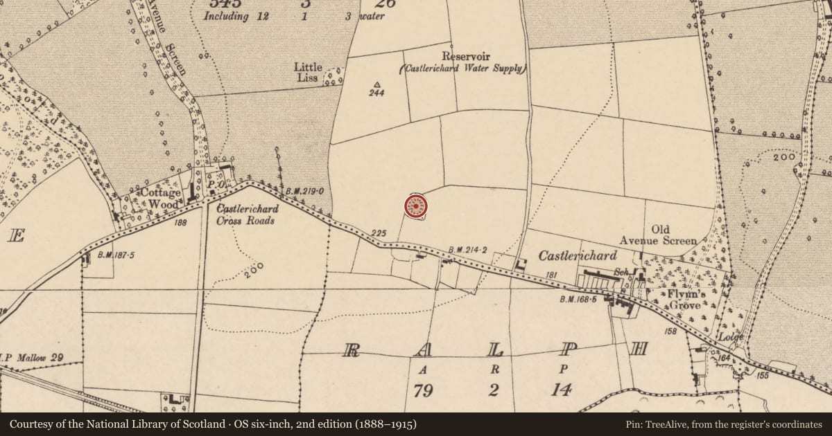 Ordnance Survey six-inch map, 2nd edition (1888–1915) covering the location of Ringfort - unclassified, Glencairn, County Waterford, with a pin at the register's coordinates