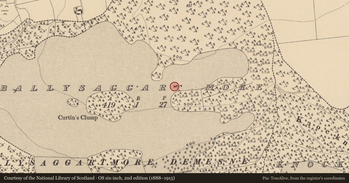 Ordnance Survey six-inch map, 2nd edition (1888–1915) covering the location of Souterrain, Ballysaggartmore, County Waterford, with a pin at the register's coordinates
