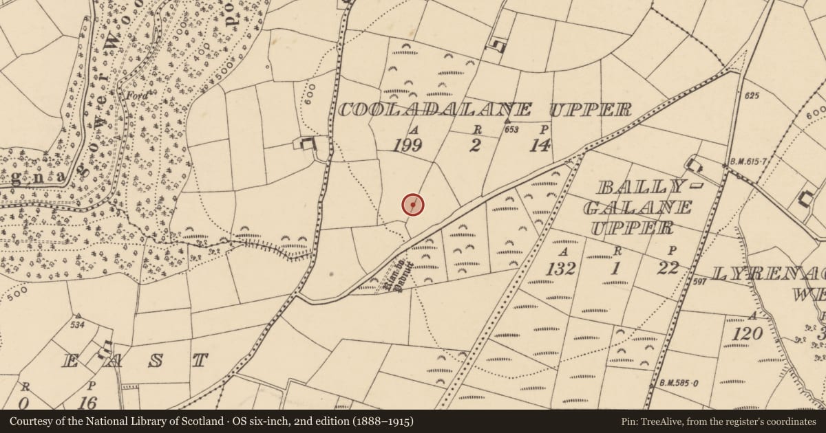 Ordnance Survey six-inch map, 2nd edition (1888–1915) covering the location of Road - road/trackway, County Waterford, with a pin at the register's coordinates