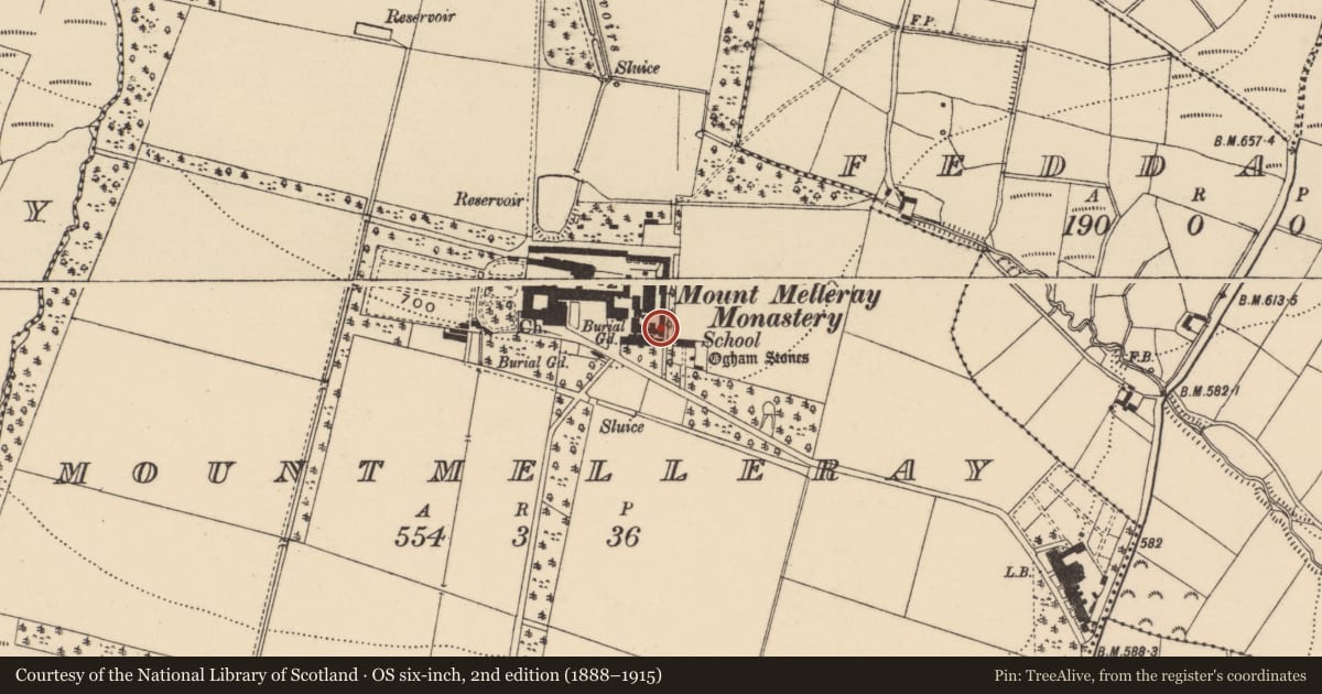 Ordnance Survey six-inch map, 2nd edition (1888–1915) covering the location of Ogham stone (present location), Mountmelleray, County Waterford, with a pin at the register's coordinates