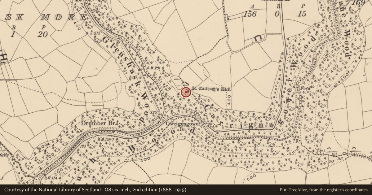 Ordnance Survey six-inch map, 2nd edition (1888–1915) covering the location of Ritual site - holy well, Carrignagower West, County Waterford, with a pin at the register's coordinates