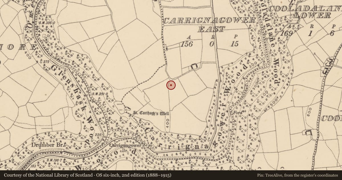 Ordnance Survey six-inch map, 2nd edition (1888–1915) covering the location of Enclosure, Carrignagower East, County Waterford, with a pin at the register's coordinates