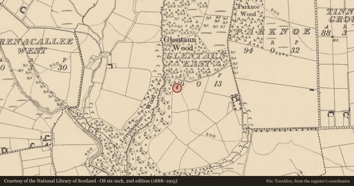 Ordnance Survey six-inch map, 2nd edition (1888–1915) covering the location of Earthwork, Glentaun East, County Waterford, with a pin at the register's coordinates