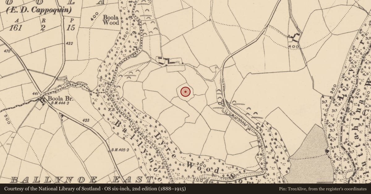 Ordnance Survey six-inch map, 2nd edition (1888–1915) covering the location of Ringfort - unclassified, Lyre East, County Waterford, with a pin at the register's coordinates