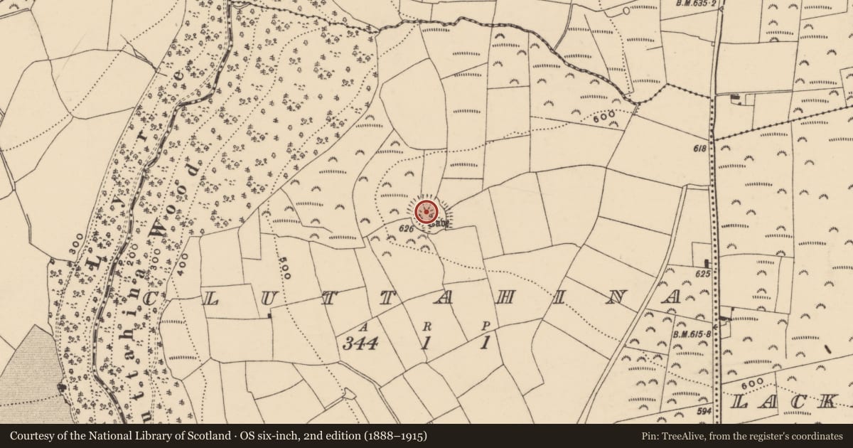 Ordnance Survey six-inch map, 2nd edition (1888–1915) covering the location of Concentric enclosure, Cluttahina, County Waterford, with a pin at the register's coordinates