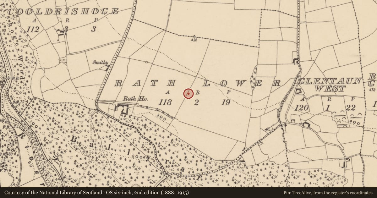Ordnance Survey six-inch map, 2nd edition (1888–1915) covering the location of Enclosure, Rath Lower, County Waterford, with a pin at the register's coordinates