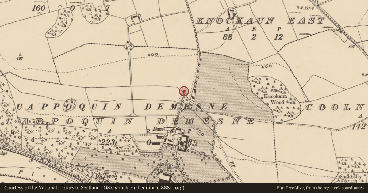 Ordnance Survey six-inch map, 2nd edition (1888–1915) covering the location of Ritual site - holy well, Cappoquin Demesne, County Waterford, with a pin at the register's coordinates