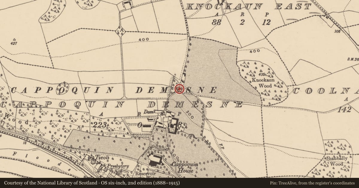 Ordnance Survey six-inch map, 2nd edition (1888–1915) covering the location of Burial ground, Cappoquin Demesne, County Waterford, with a pin at the register's coordinates