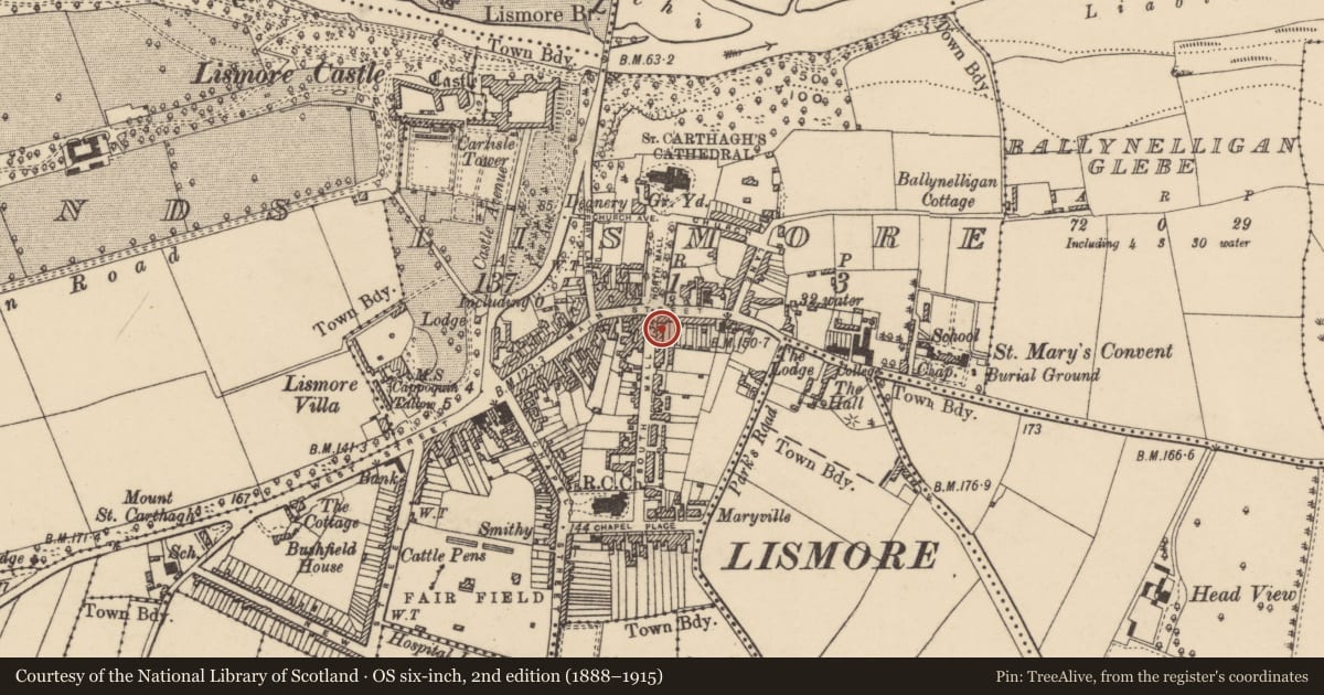 Ordnance Survey six-inch map, 2nd edition (1888–1915) covering the location of Historic town, County Waterford, with a pin at the register's coordinates