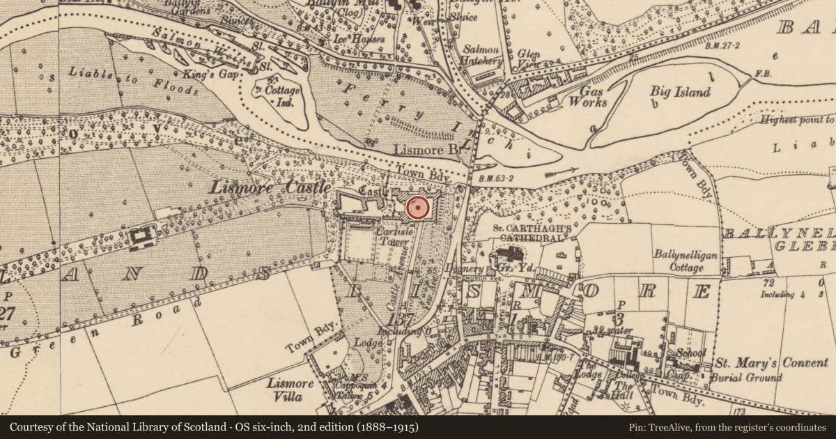 Ordnance Survey six-inch map, 2nd edition (1888–1915) covering the location of Castle - Anglo-Norman masonry castle, Lismore, County Waterford, with a pin at the register's coordinates