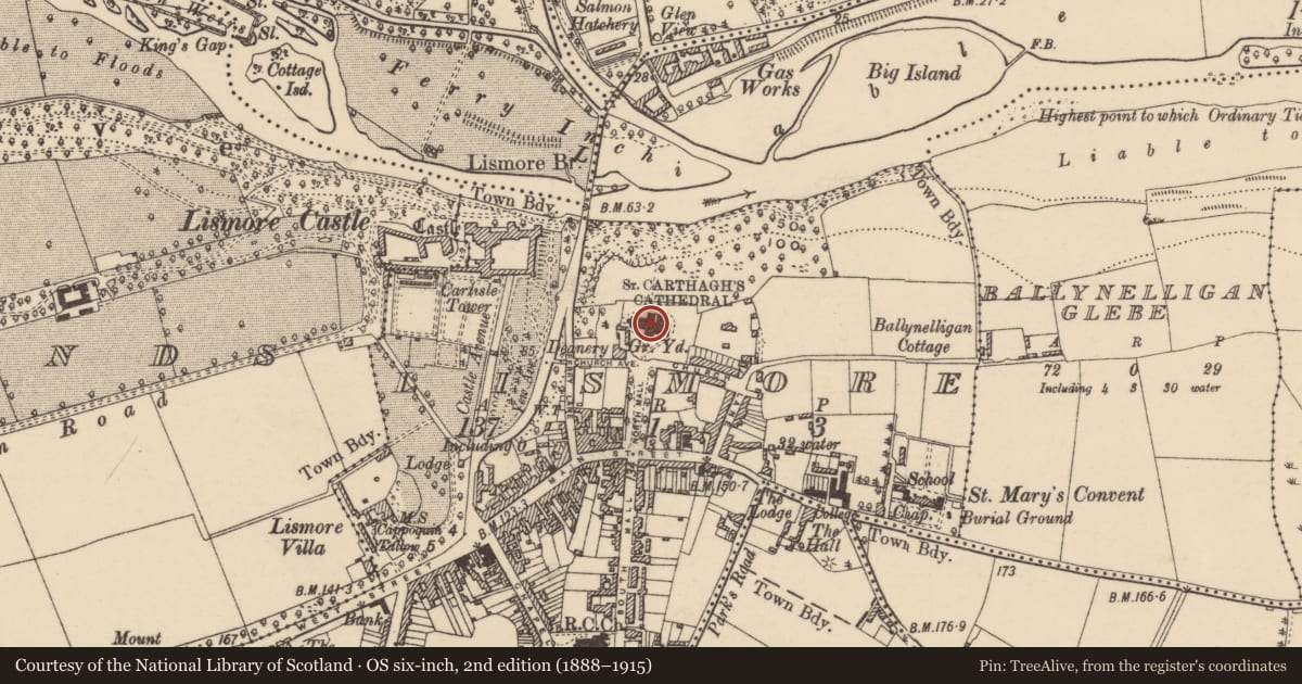 Ordnance Survey six-inch map, 2nd edition (1888–1915) covering the location of Cathedral, Lismore, County Waterford, with a pin at the register's coordinates