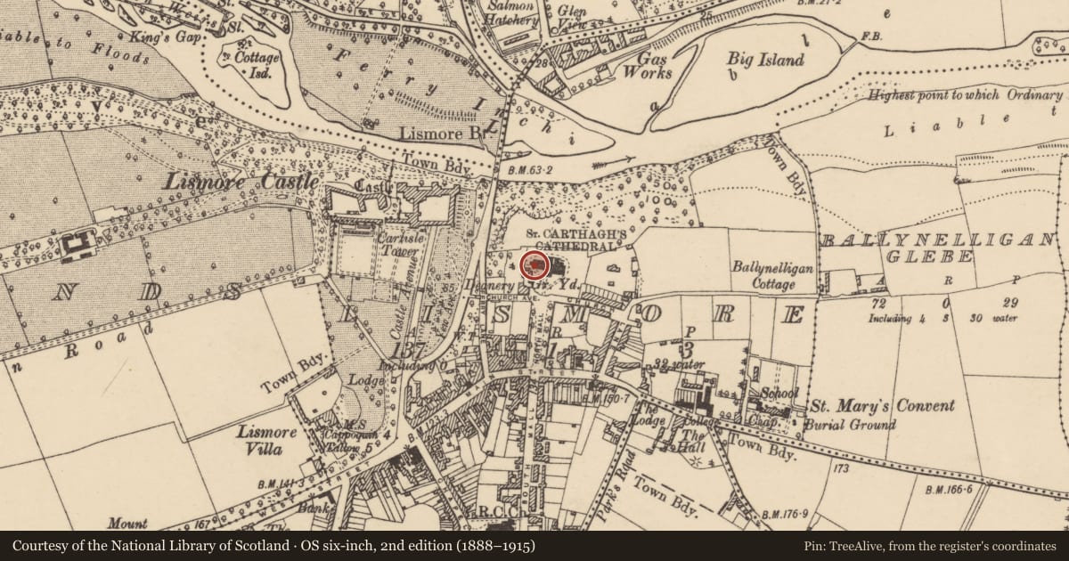 Ordnance Survey six-inch map, 2nd edition (1888–1915) covering the location of Cross-slab, Lismore, County Waterford, with a pin at the register's coordinates