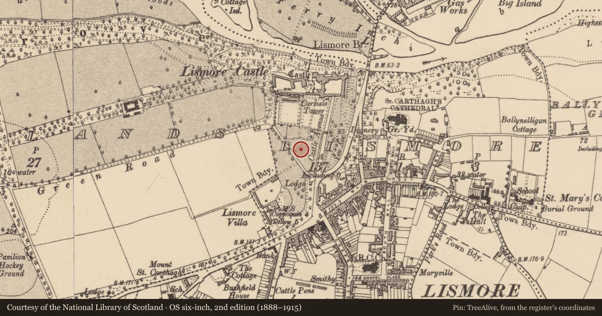 Ordnance Survey six-inch map, 2nd edition (1888–1915) covering the location of Church, Lismore, County Waterford, with a pin at the register's coordinates